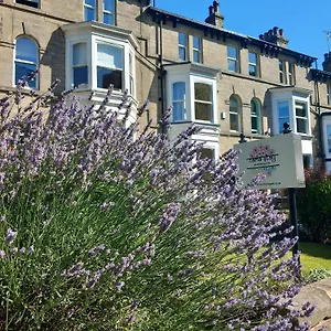 ash-grove-bed-breakfast.yorkshirehotels.net/